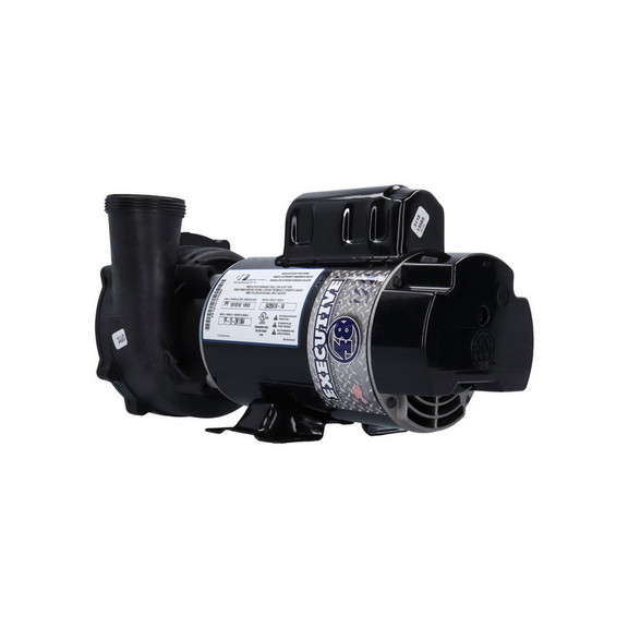 Waterway 3420610 1A Pump  Waterway Executive 48  1...