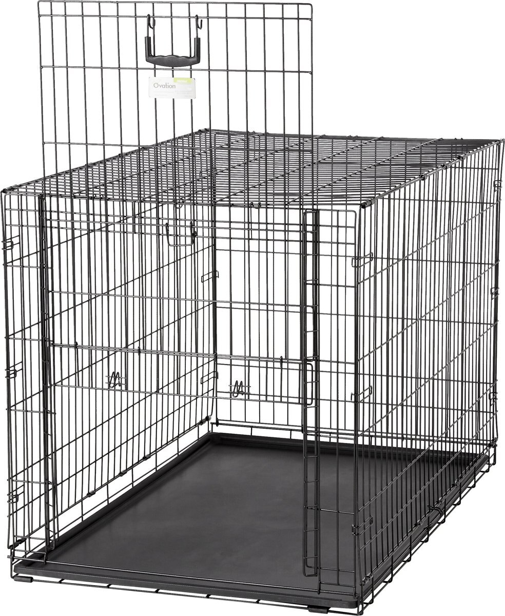 MidWest Ovation Single Door Collapsible Wire Dog Crate