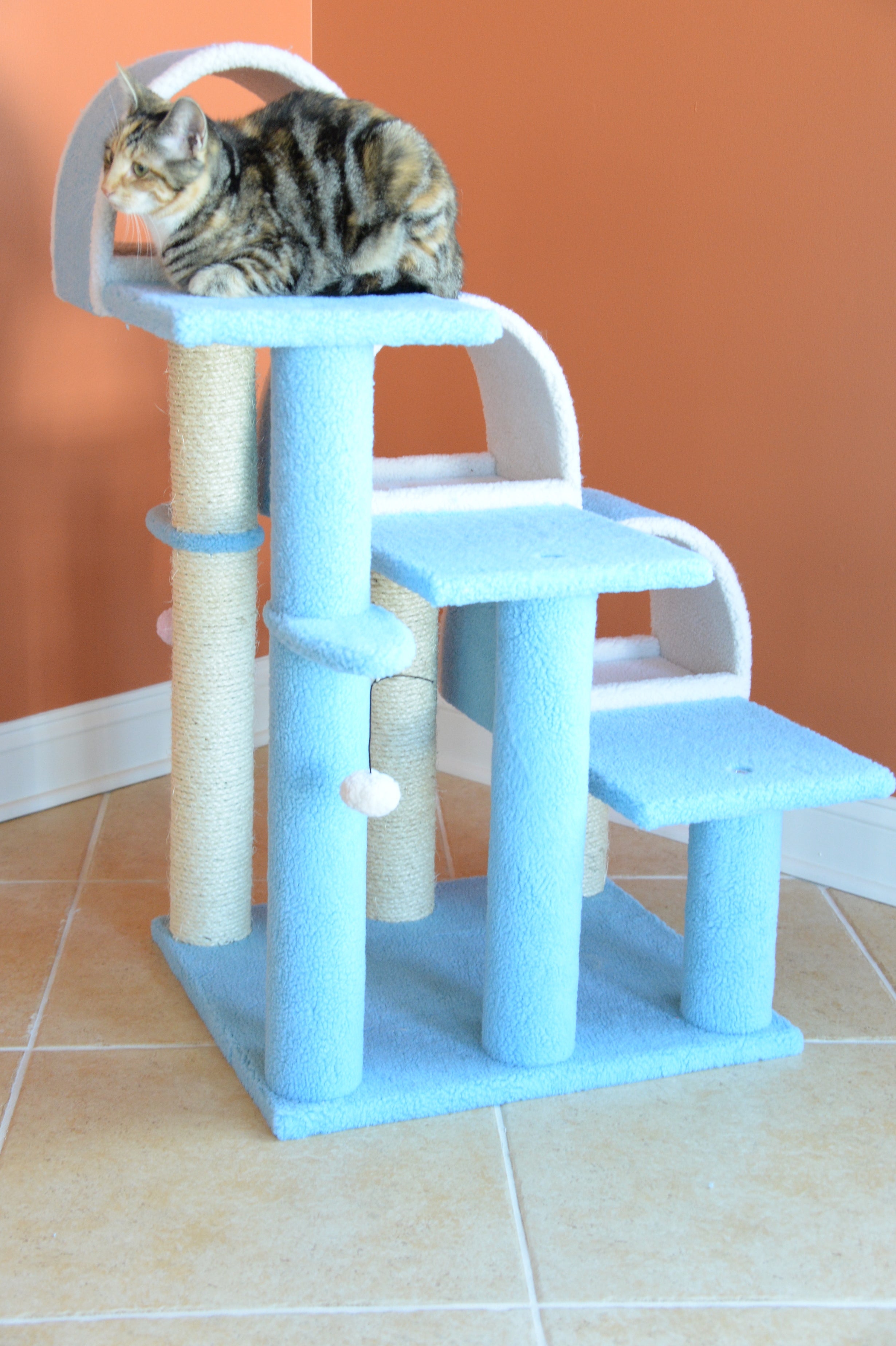 Armarkat Classic real wood Cat Tree Model B3803， 38 inch Sky Blue