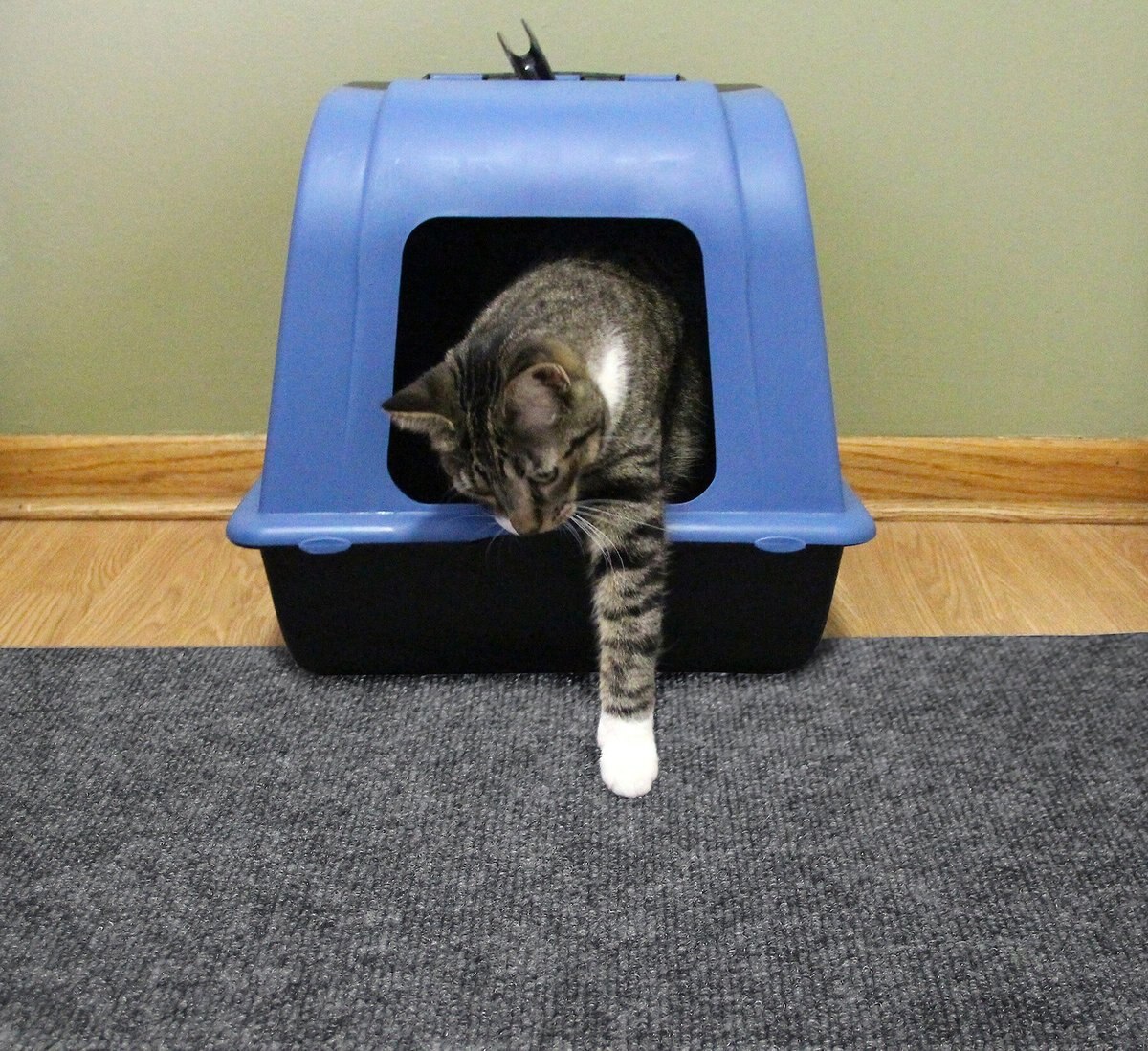 Drymate Jumbo Cat Litter Trapping Mat， Charcoal