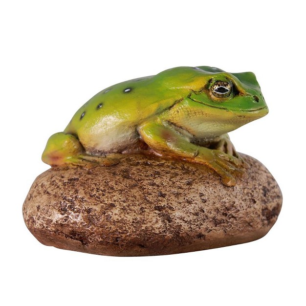 Design Toscano Toad On Rock Statue