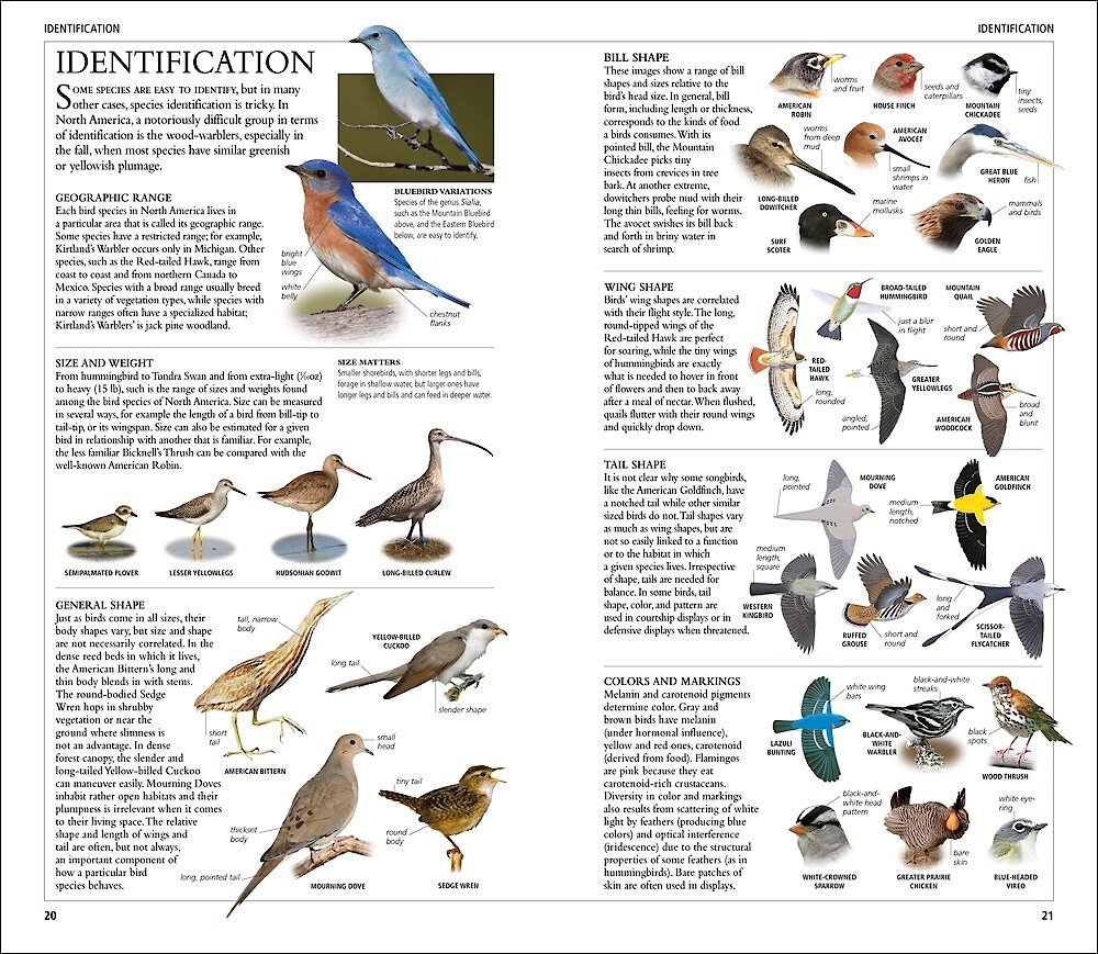 AMNH Birds of North America Western