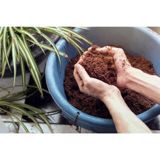 Teton Distribution 11 lbs. Coco Coir Potting Soil for Indoor Plants and Outdoor Plant The Coconut Coir Potting Mix is Great for Microgreens 0012001