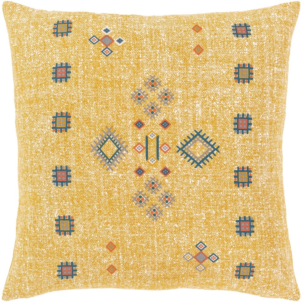 Artistic Weavers Parodia Bohemian Pillow Cover