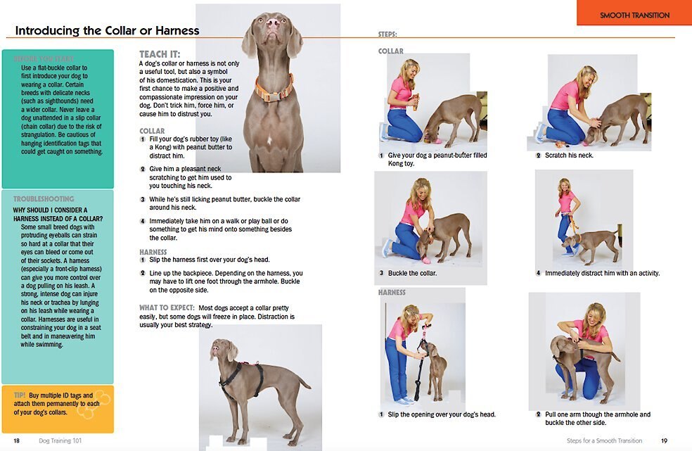 Dog Training 101: Step-by-Step Instructions for Raising a Happy， Well-Behaved Dog