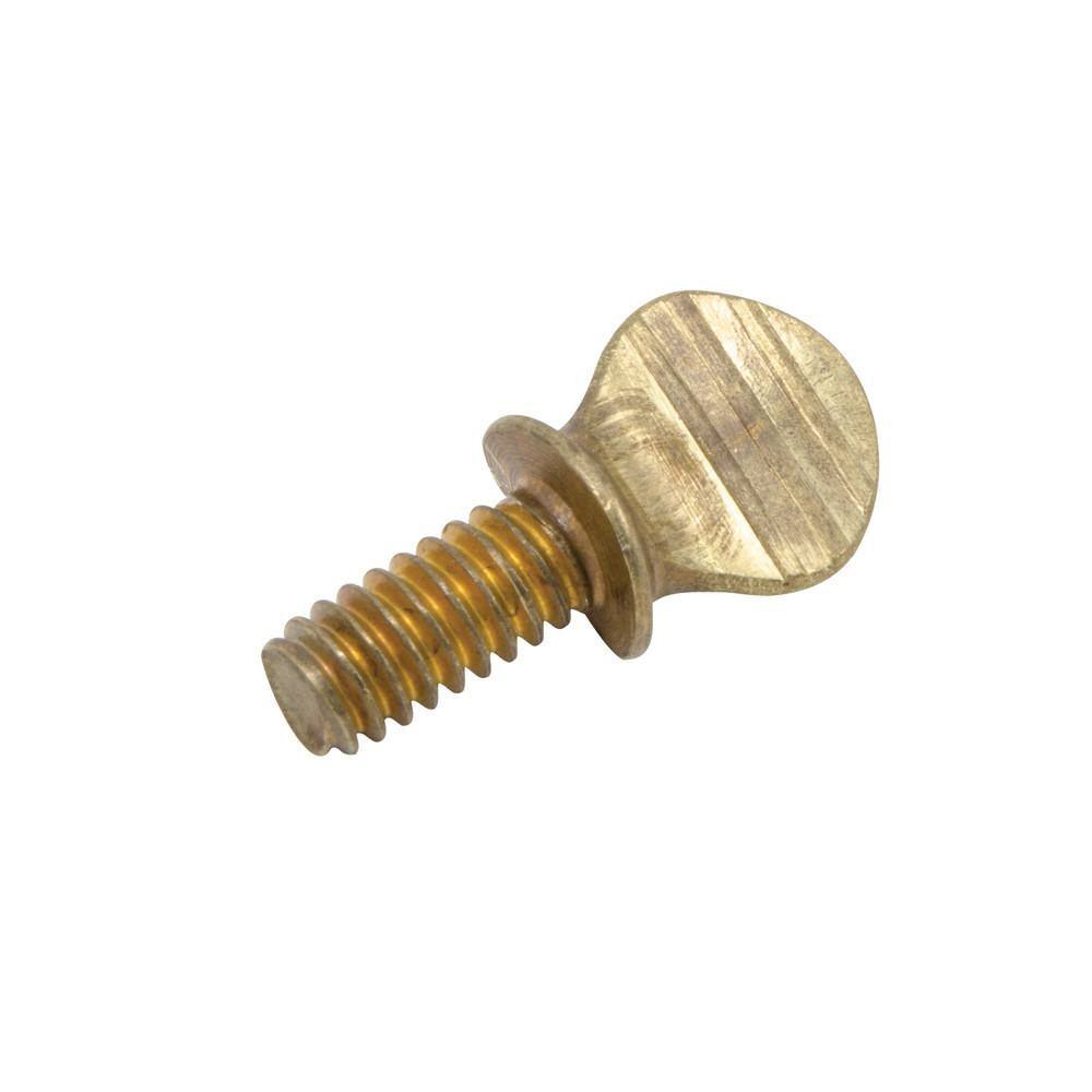 Watts Replacement Thumb Screw for 12 in. - 1 in. Float Valves K SCR-15