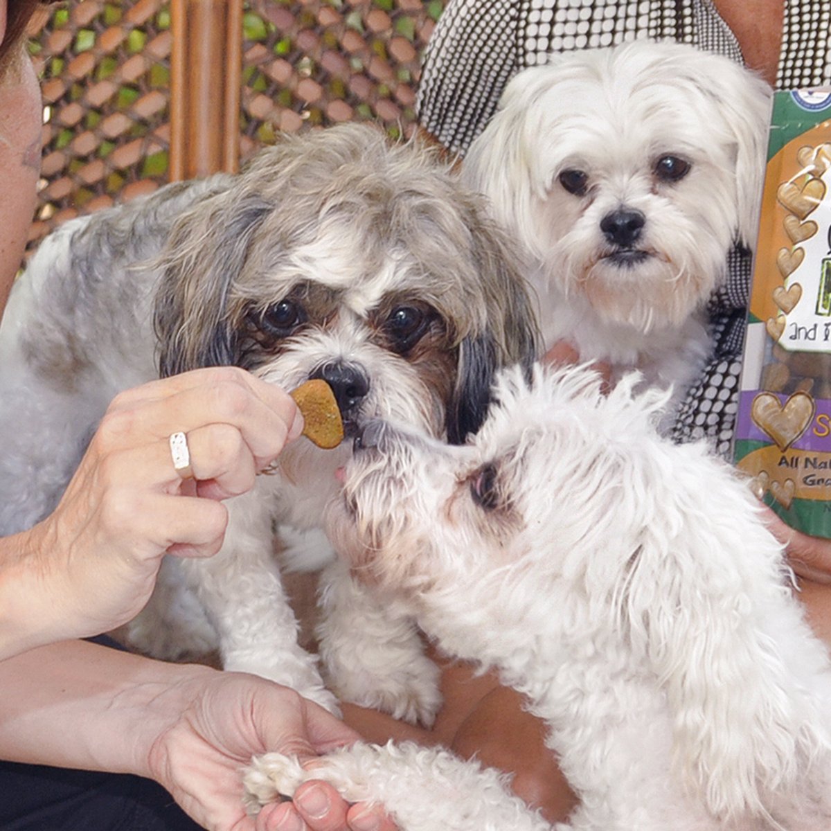 Dogs Love Us Dogs Love Kale Peanutty Wheat and Gluten Free Dog Treats