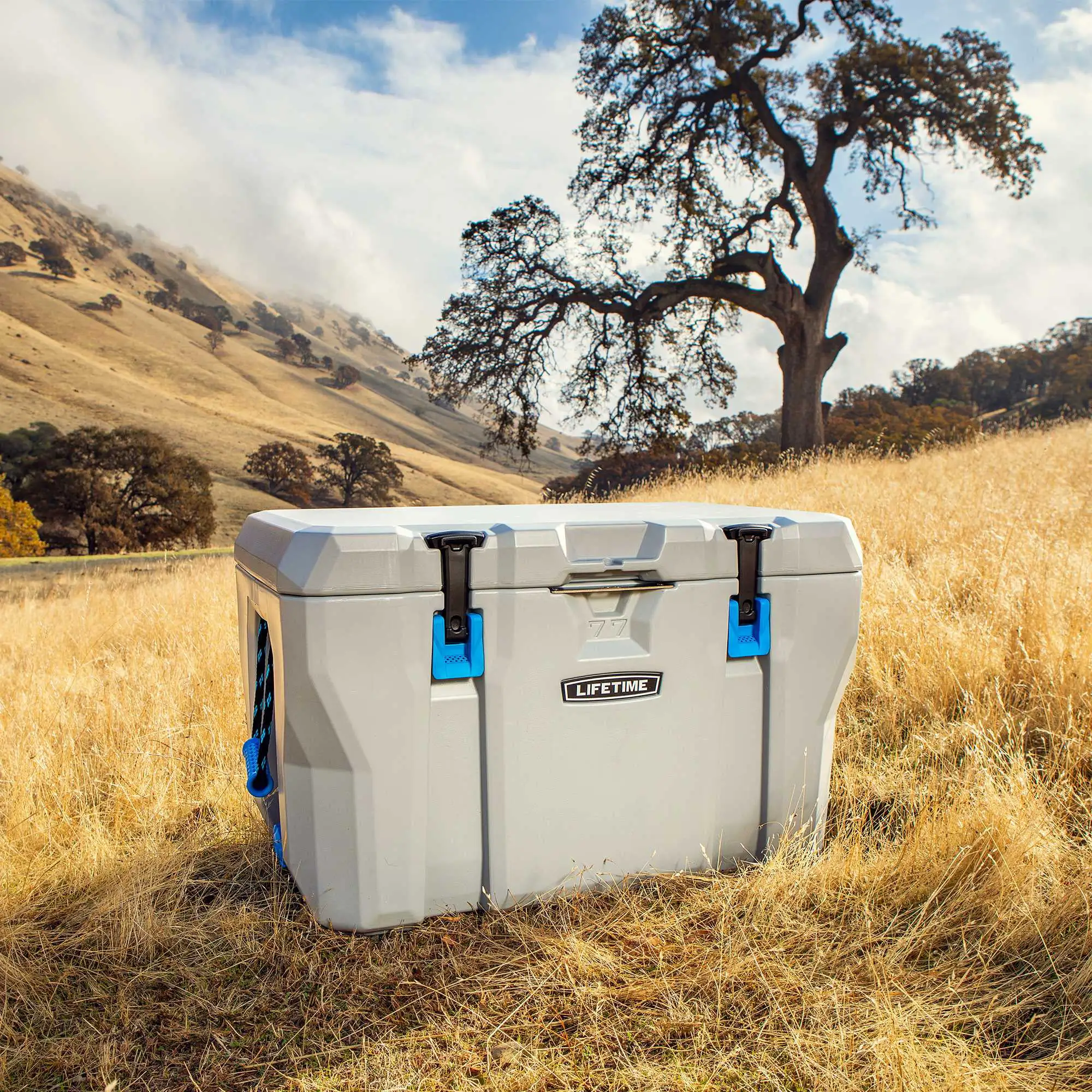 Lifetime 77 Quart High Performance Cooler (90903)