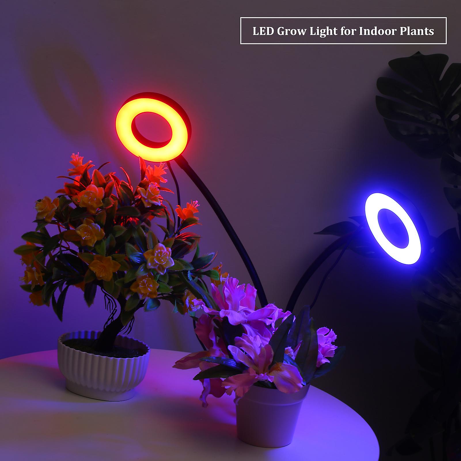 Dual Head Led Grow Ring Light For Indoor Plants Red and Blue Spectrum Usb Powered Clip-on Desk Plant Growing Lamps With Flexible Metal Hose For Succulen