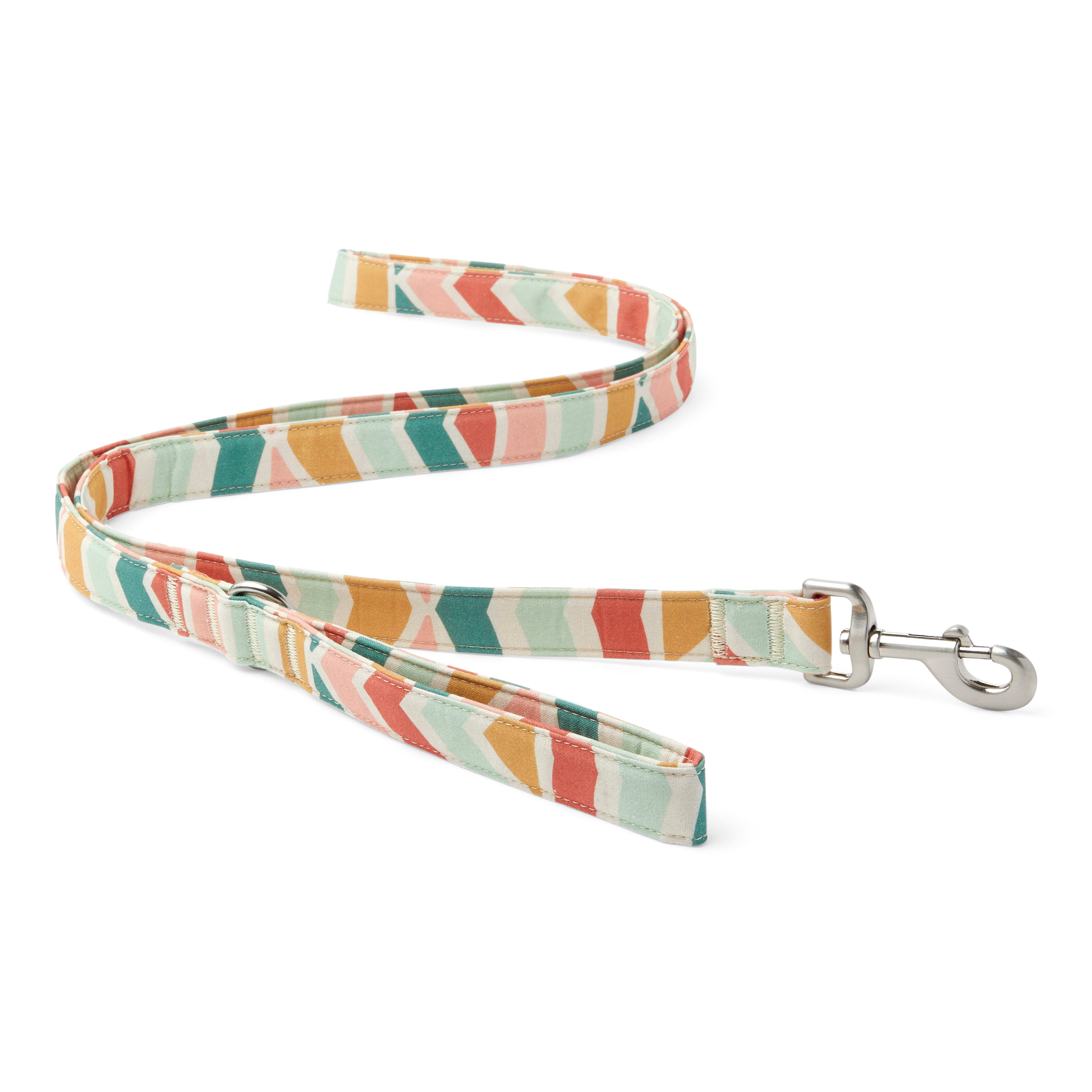 YOULY The Wanderer Rainbow Striped Dog Leash， 6 ft.