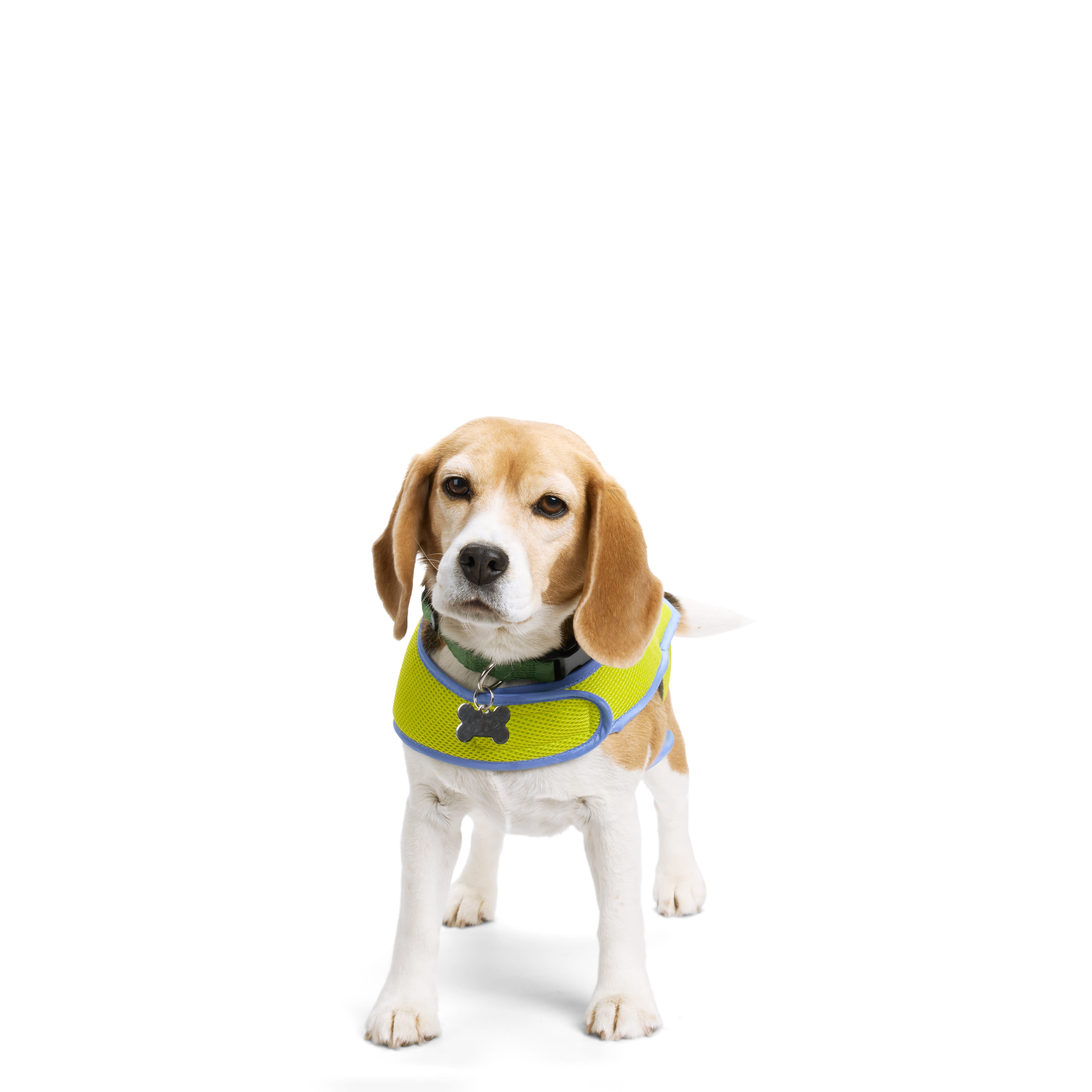 YOULY Yellow Cooling Dog Vest， X-Small