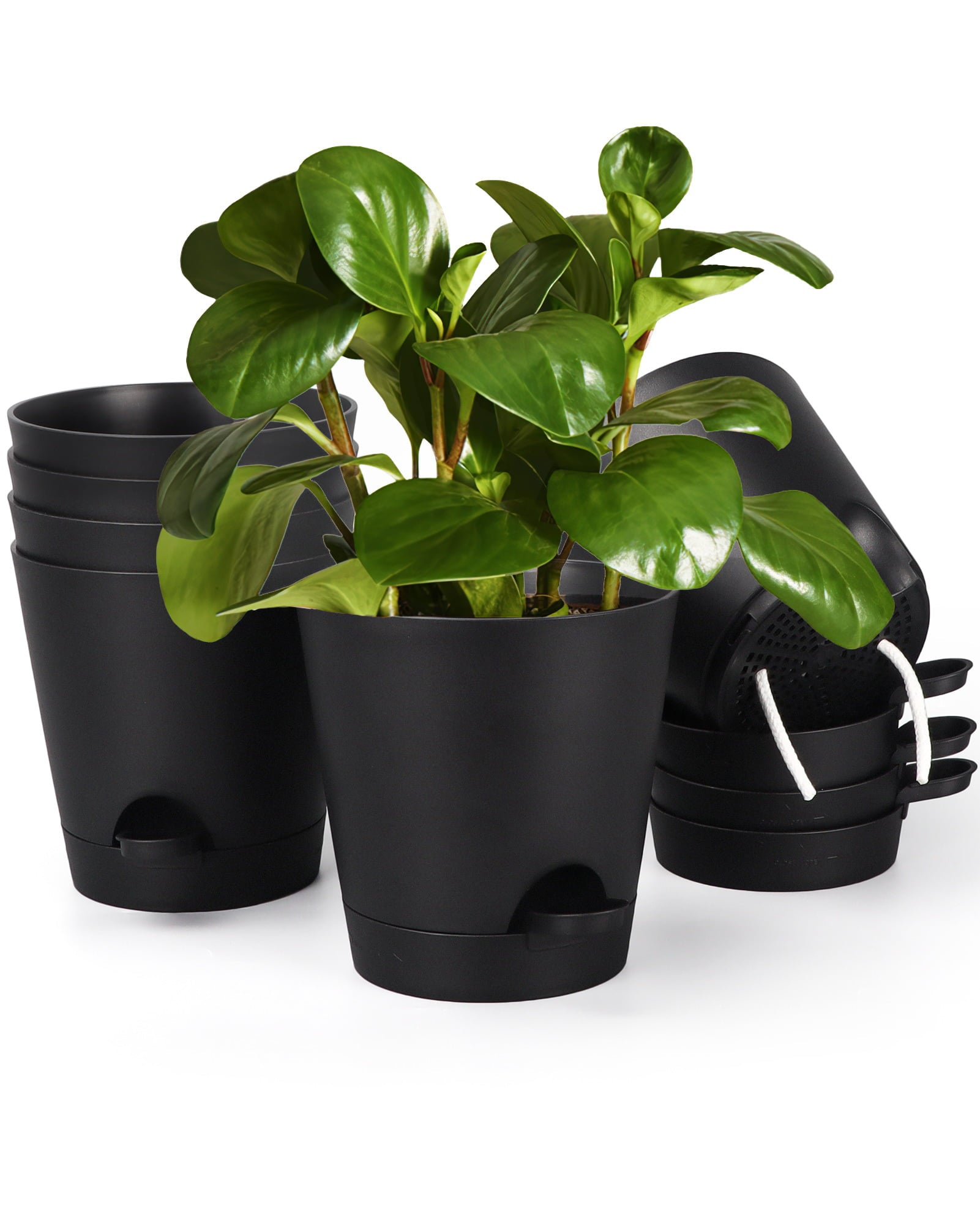 6 Inch Self Watering Plastic Planters Set of 6, Black Plant Pots for Indoor Outdoor with Drainage Holes for Snake Plant, African Violet, Aloe, and Most House Plants