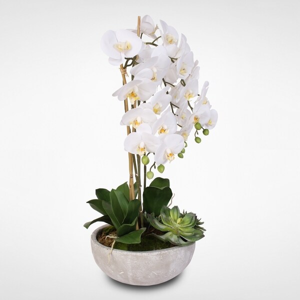 Silk White Phalaenopsis Orchids and Succulents in a Modern Stone Bowl