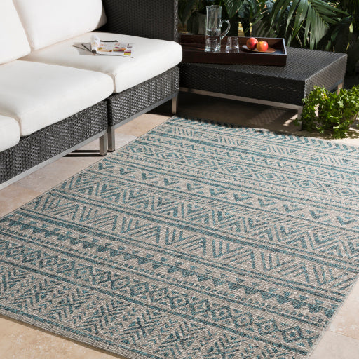 Eagean Traditional Indoor/Outdoor Aqua Rug