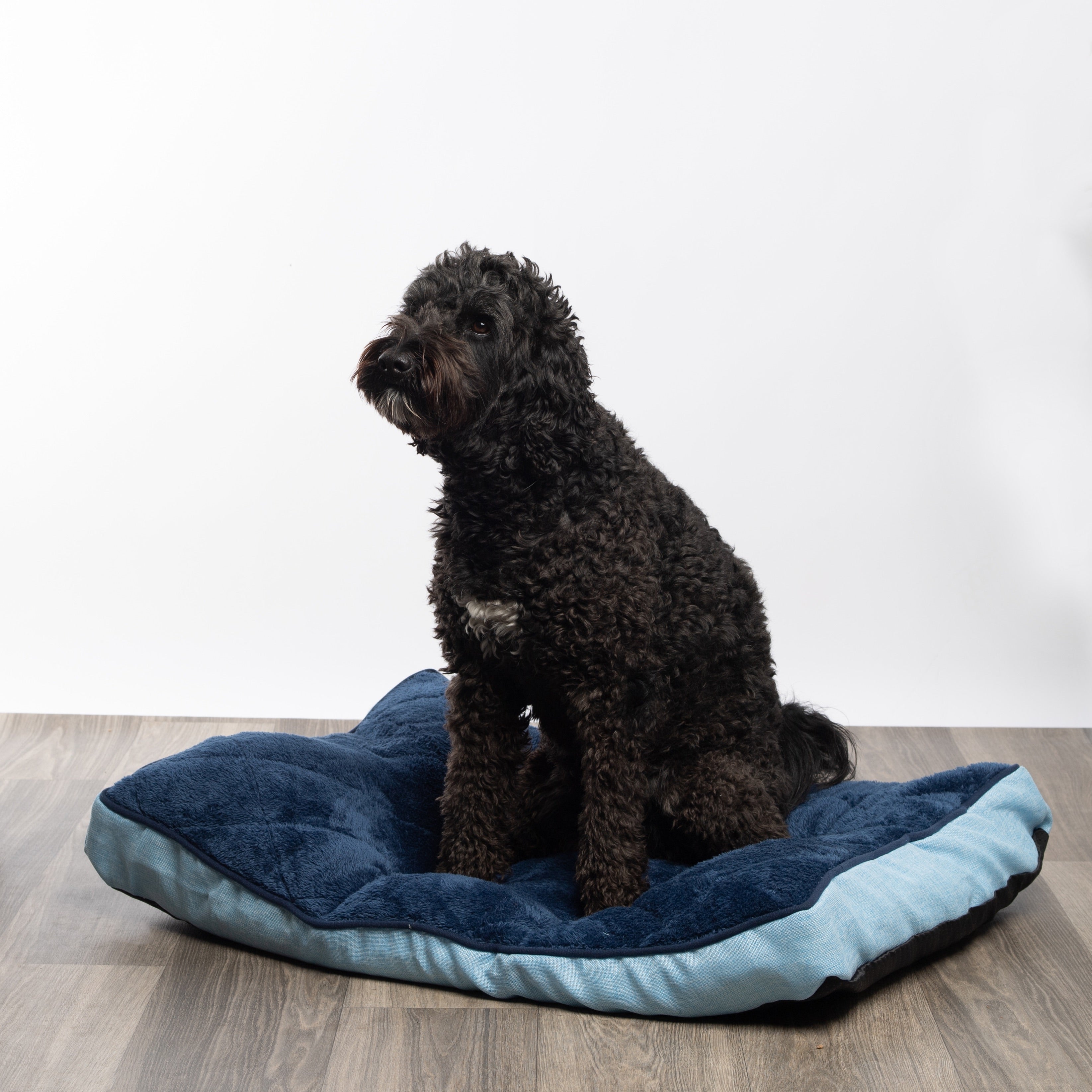 Modern Threads Large Orthopedic Memory Foam Plush Pillow Dog Bed， Linen， Blue