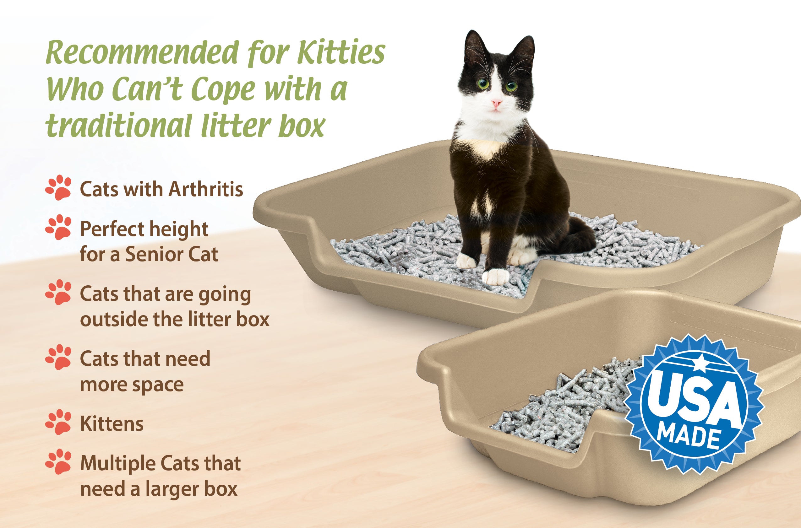 Kitty Go Here Senior Cat Litter Box Sand Color， Small Size