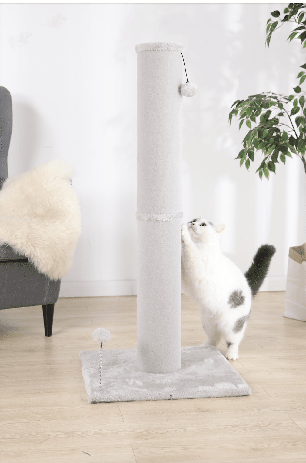 Vibrant Life Jumbo Carpet Cat Scratching Post， Gray， 42