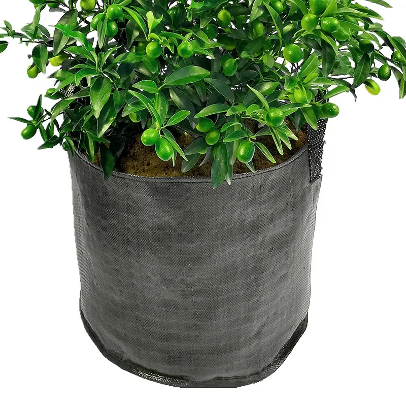 HOKBG 5 gallon 20 Litres grow bag with 2 strength handles pp fabric plant pots 20L for vegetables growing