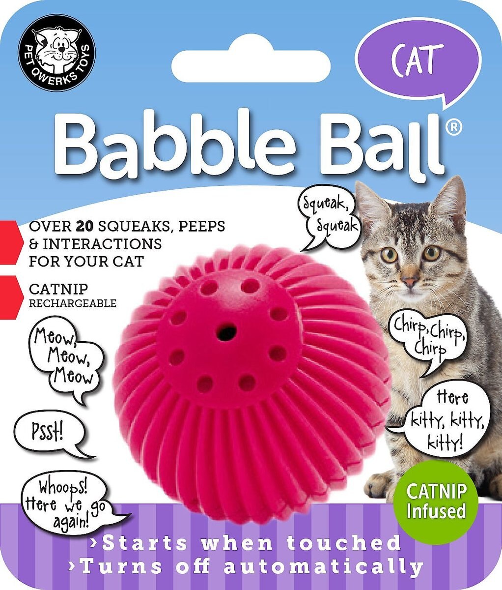 Pet Qwerks Babble Ball Kitten Toy with Catnip