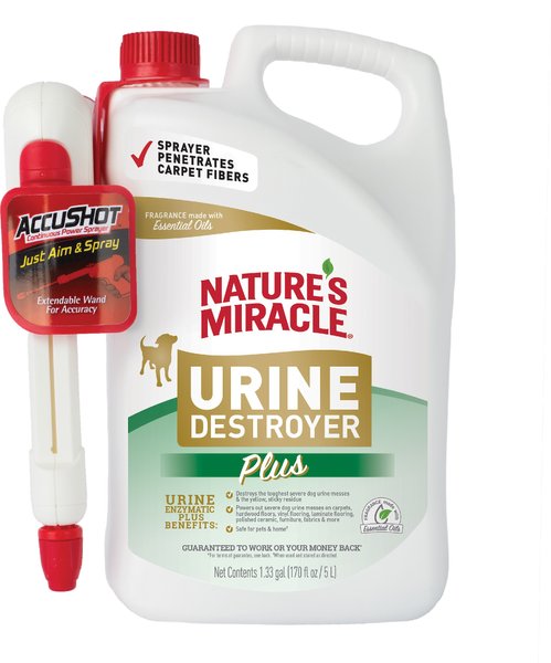 Nature's Miracle Dog Urine Destroyer Plus Enzymatic Formula Stain Remover， 1.3-gal bottle