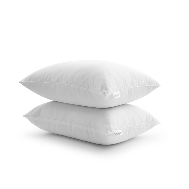 Beautyrest Certified Asthma & Allergy Friendly Pillow Set Of 2