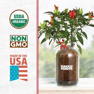 Back to the Roots Windowsill Organic Chili Pepper Grow Kit 25200