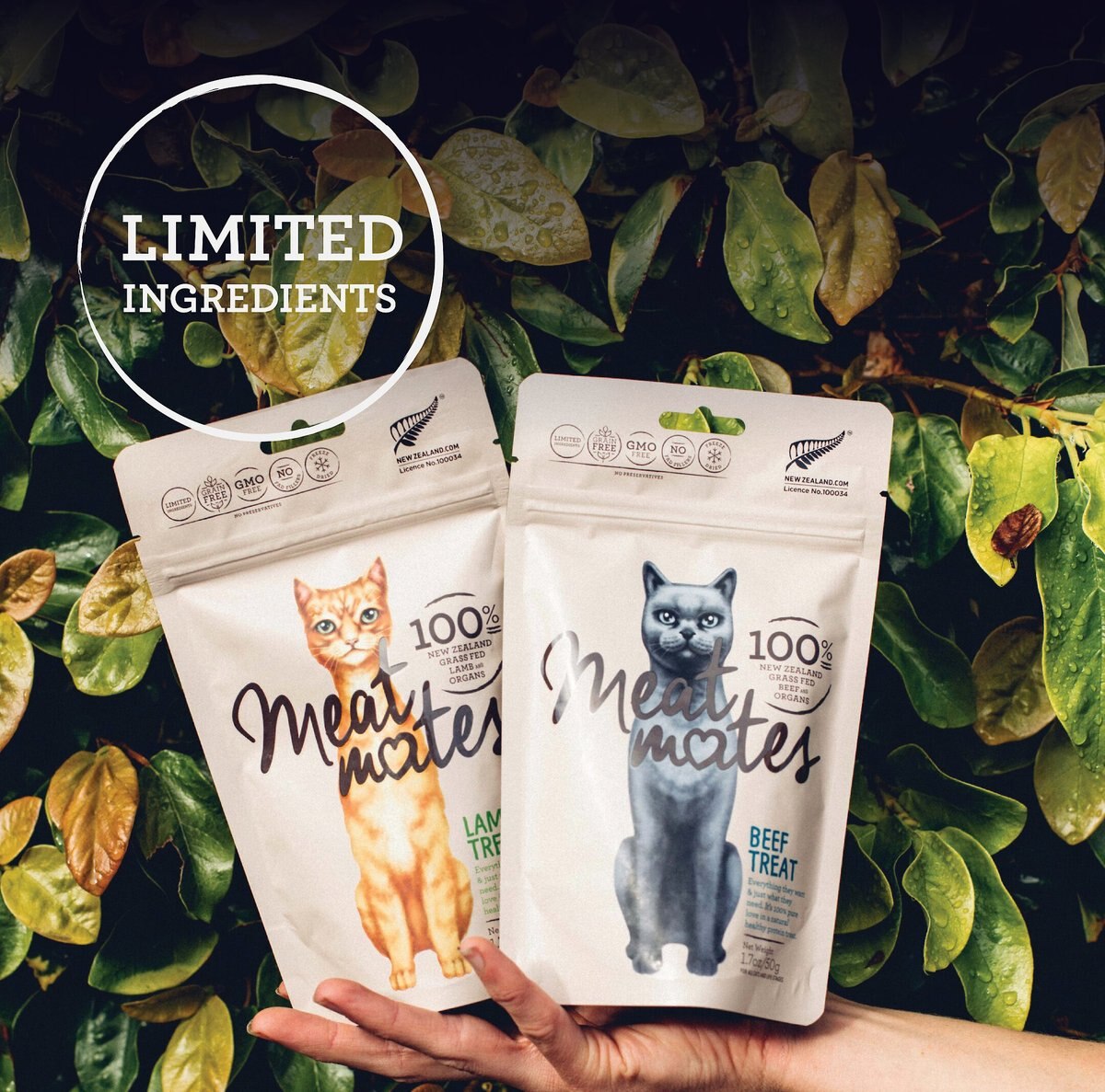 Meat Mates Beef Freeze-Dried Raw Cat Treats