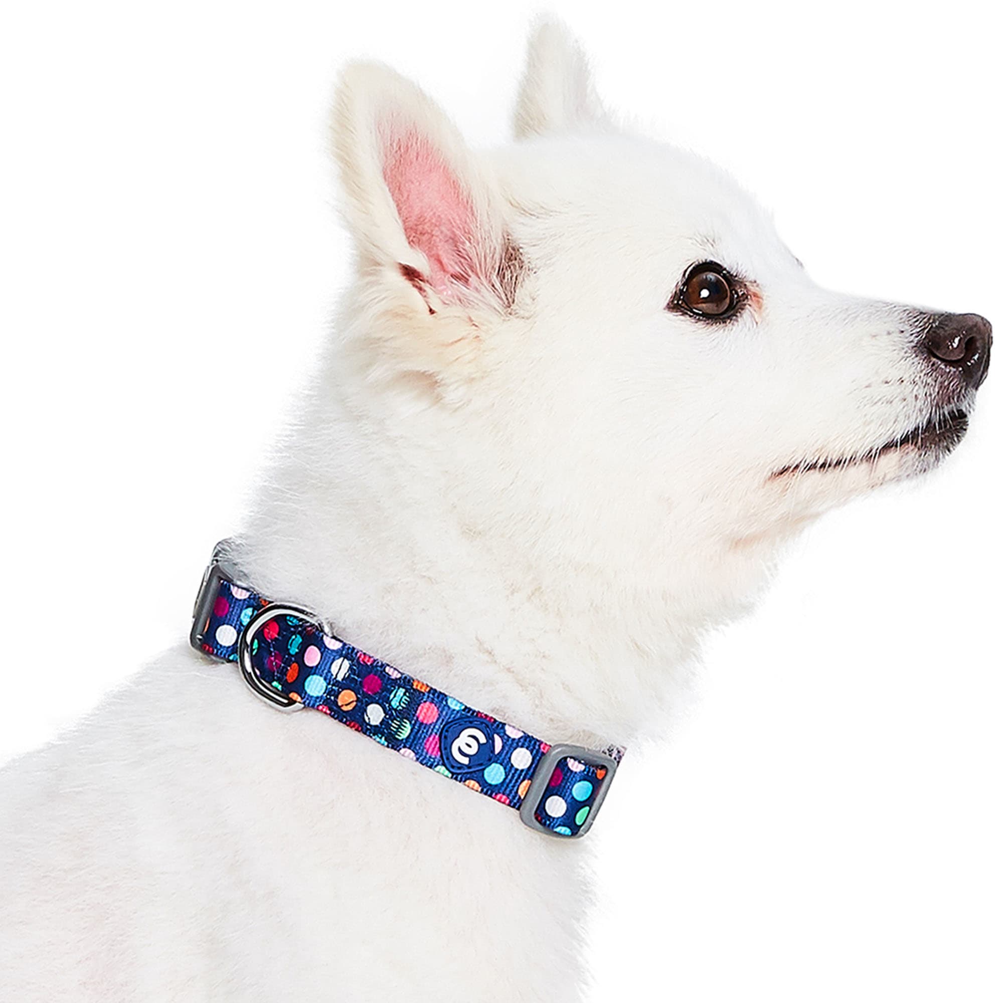 Blueberry Pet Essentials Rainbow Polka Dots Dog Collar， Small