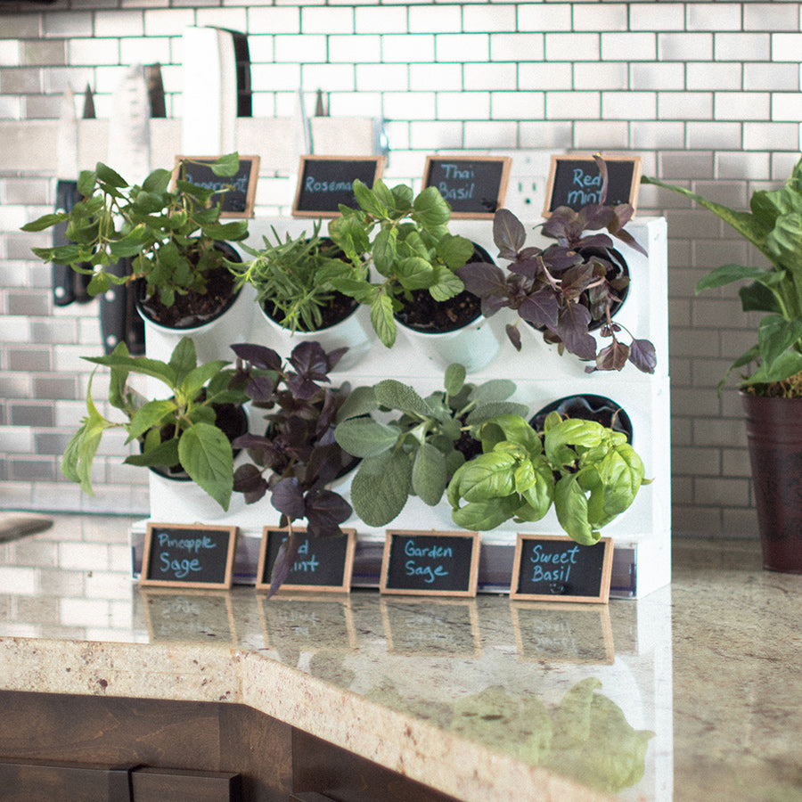 Countertop Garden Kit