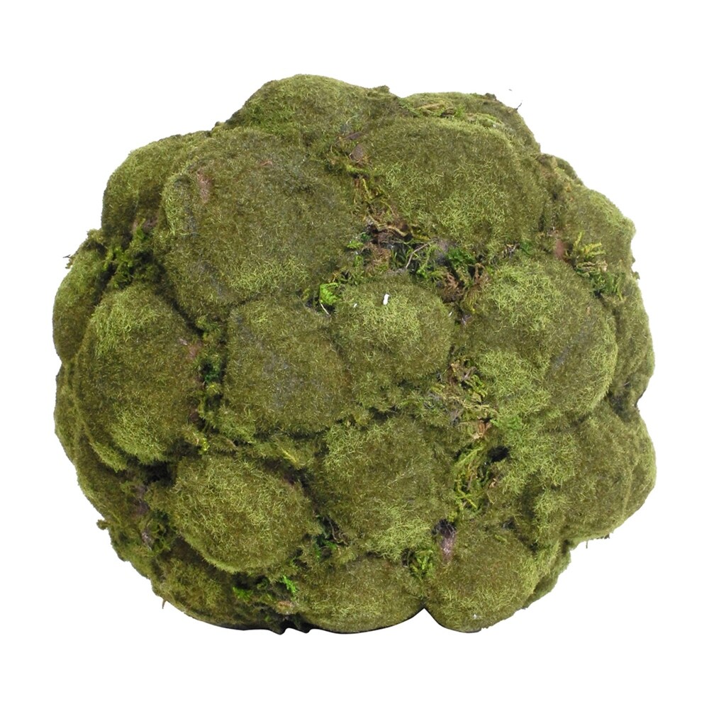 Textured Moss Ball   10\