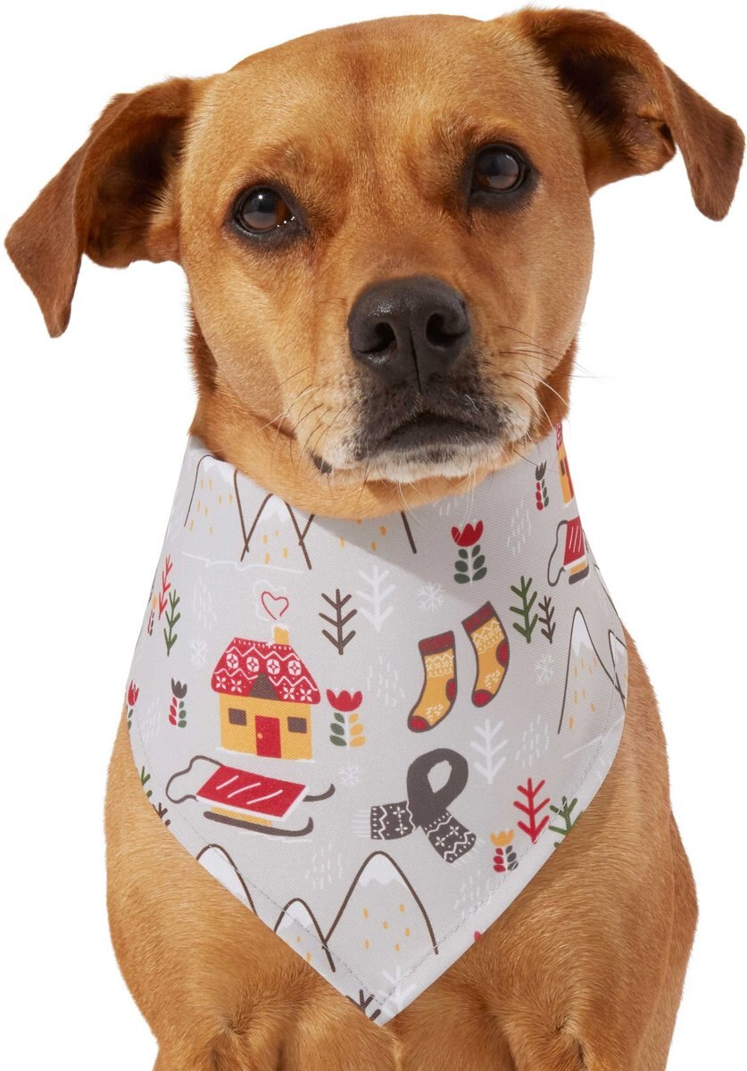 Frisco Wintry Vibes Dog and Cat Bandana