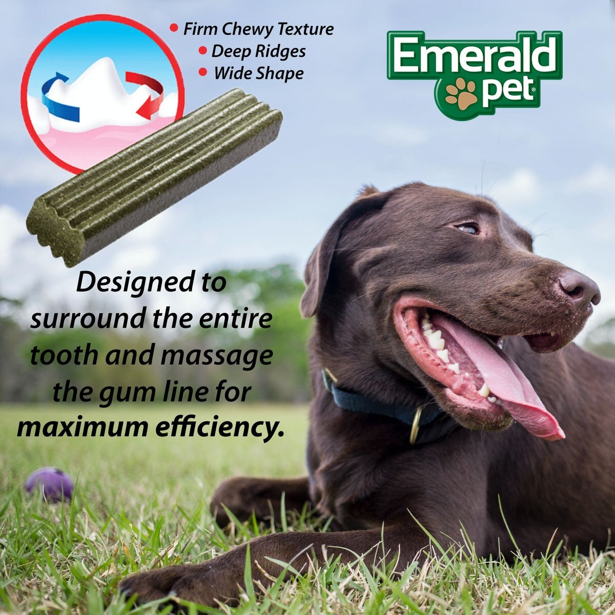 Emerald Pet Fresh Smileezz Large Grain-Free Dental Dog Treats