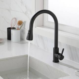 FORCLOVER Single-Handle Pull Out Sprayer Kitchen Faucet in Matte Black in Spot FRIMFTH17MB