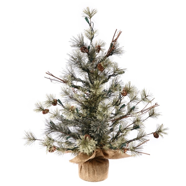 Vickerman 24 Dakota Pine Artificial Christmas Tree，Unlit