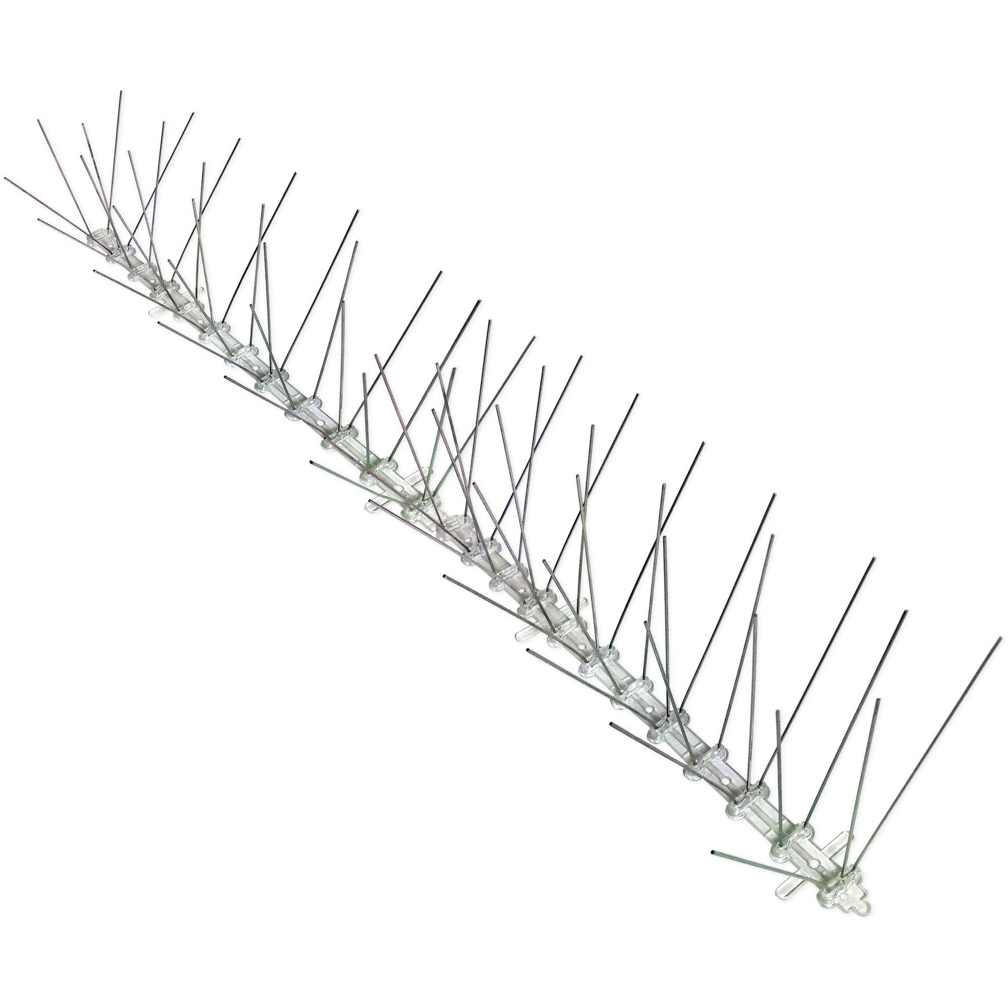 Bird X Bird Spikes， Stainless Steel， Regular Width， 100'