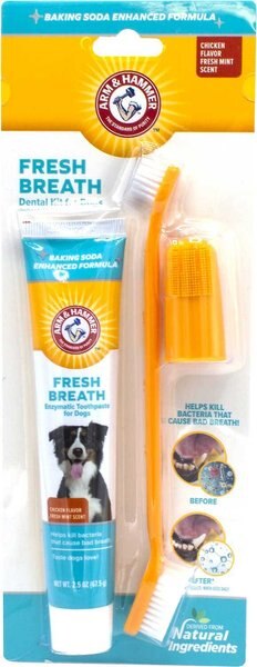 Arm and Hammer Fresh Breath Chicken Flavored Enzymatic Dog Dental Kit