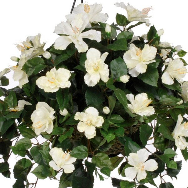 Faux Cream Hibiscus Hanging Basket