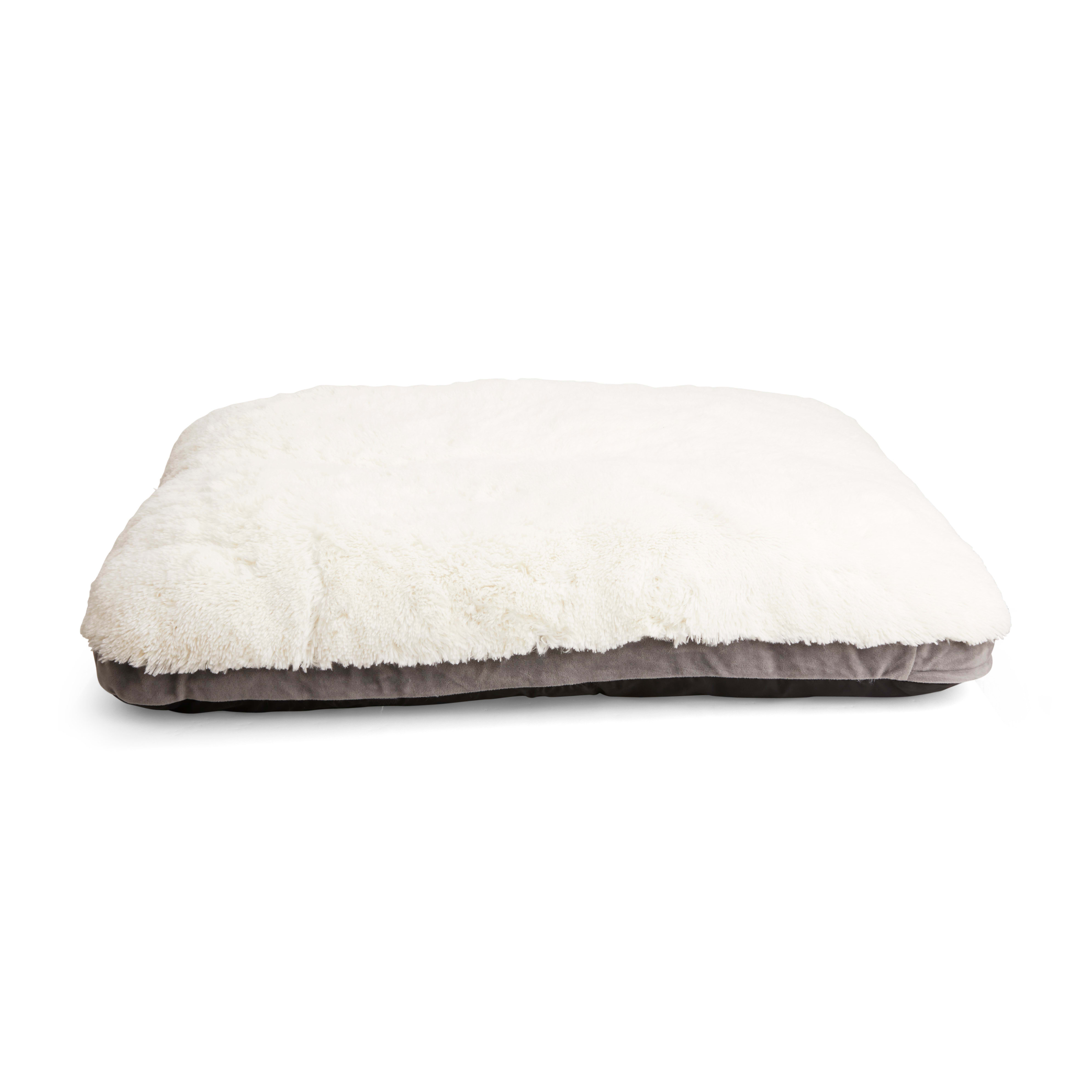 EveryYay Essentials Snooze Fest Lavender-Scented Dog Bed， 36