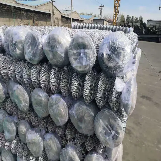 Hot Dipped Galvanized Wire Chain Link Mesh Garden Fence