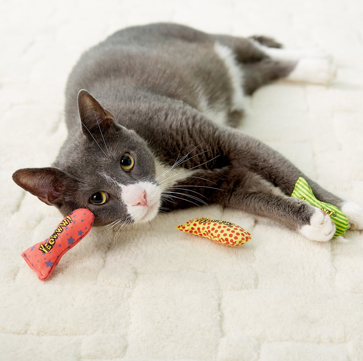 Yeowww! Stinkies Catnip Sardines Cat Toys