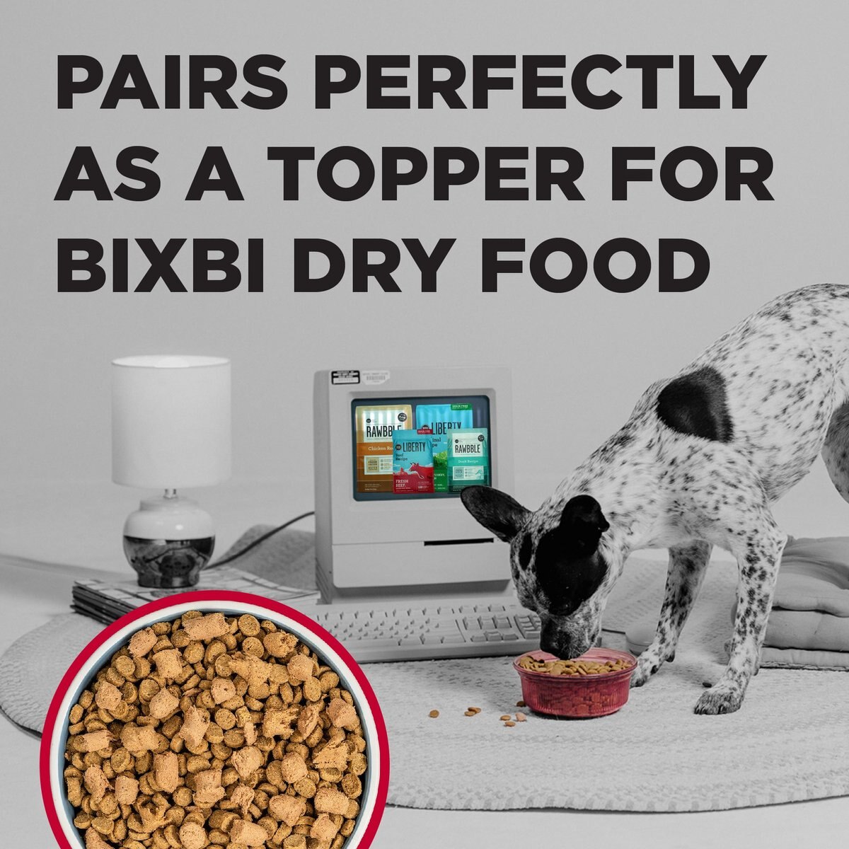 BIXBI Liberty Beef Recipe Freeze-Dried Dog Topper and Treat， 4.5-oz bag