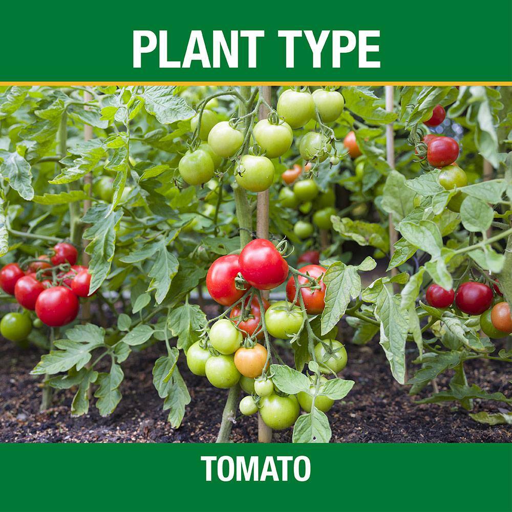 Vigoro 3.5 lb. All Season Tomato and Vegetable Garden Plant Food Plus Calcium (12-10-5) 124346