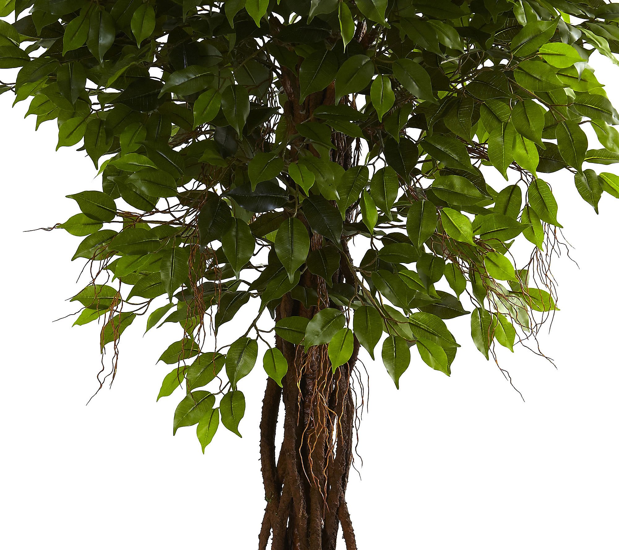 7.5' Ficus Tree by Nearly Natural