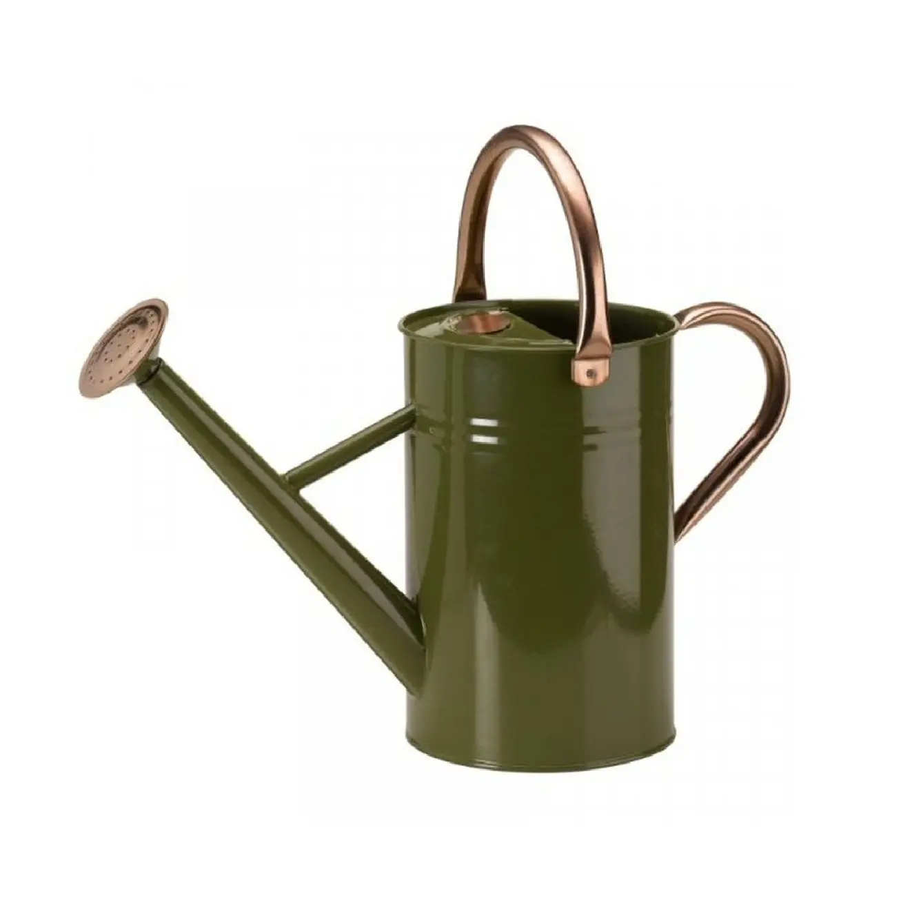 Classic Design Brass Plated Water Cane Watering Pot Durable Price For Hallway Use Garden Ware Can High Quality