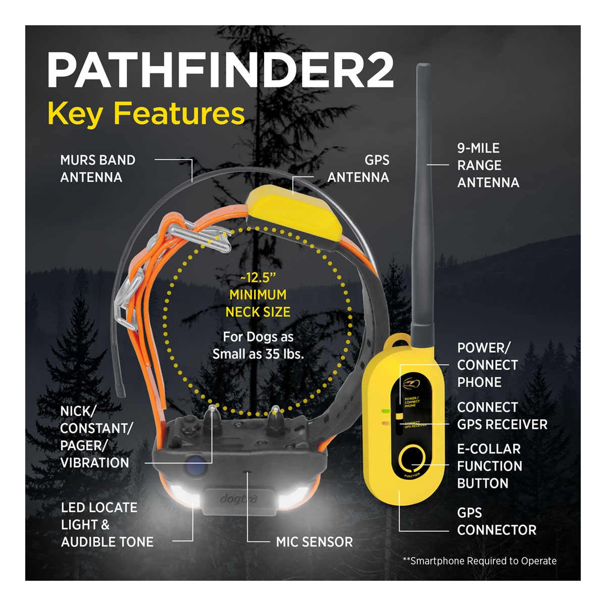 Dogtra Pathfinder2 Dog Training Collar