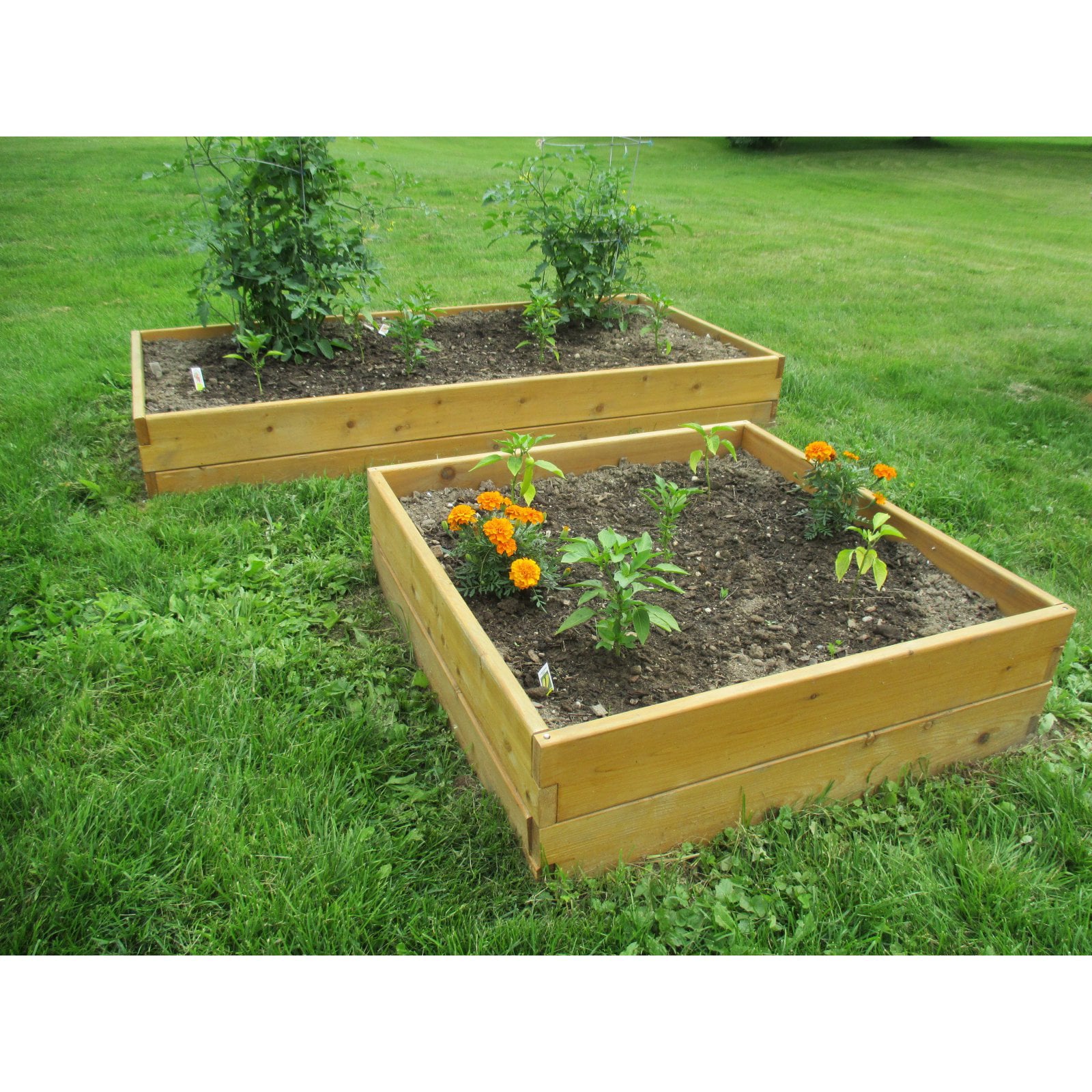 Infinite Cedar 3 ft W x 3 ft L x 11 inches Ht Raised Garden Bed Kit