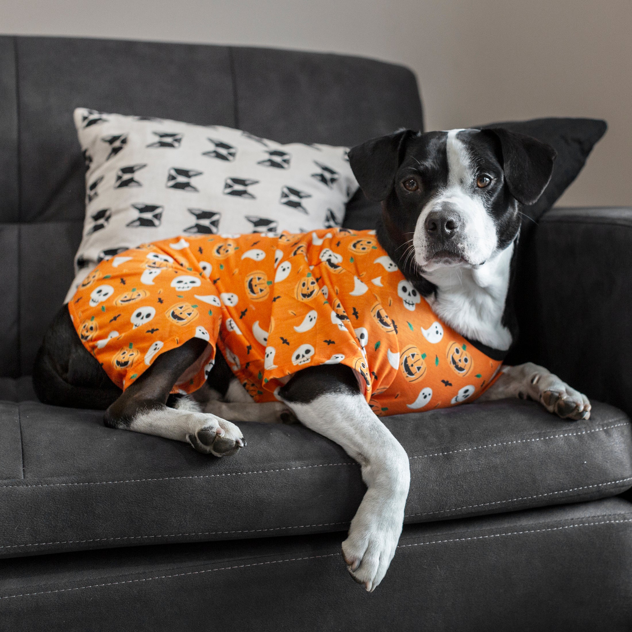 Vibrant Life Halloween Dog Clothes， Orange Pumpkin Ghost Pajama， for Dogs or Cats， Size Small