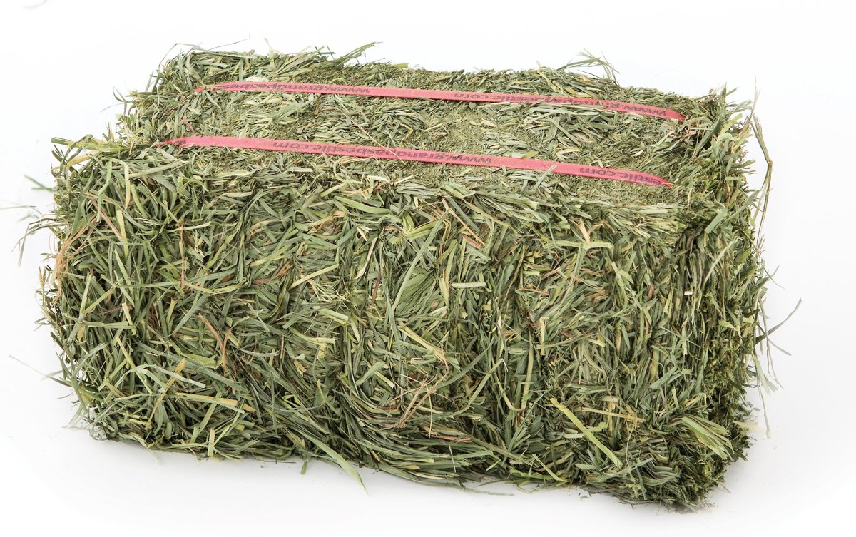 Grandpa's Best Orchard Grass Hay Small Pet Food