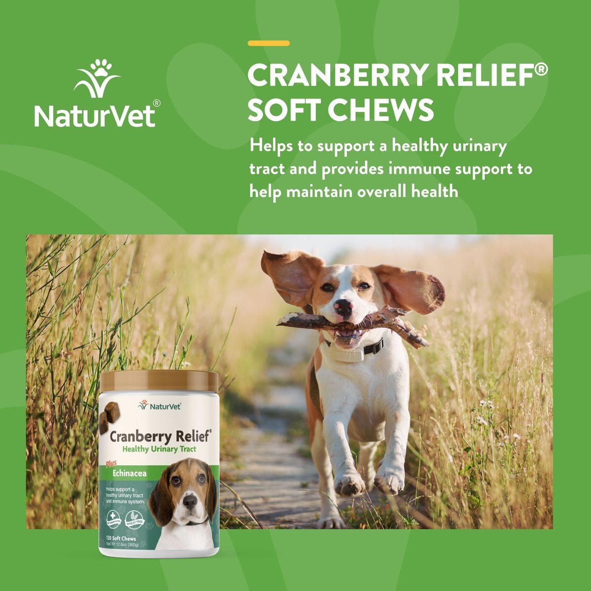 NaturVet Cranberry Relief Plus Echinacea Soft Chews Urinary Supplement for Dogs