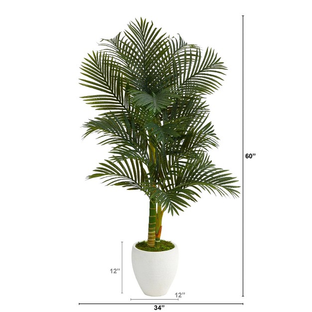 Nearly Natural 5-ft Paradise Palm Artificial Tree In White Planter With Faux Moss